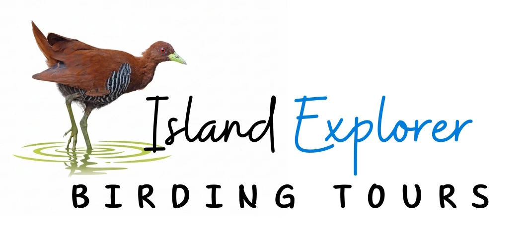 Island Explorer Birding Tours
