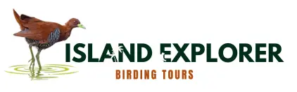 Island Explorer Birding Tours